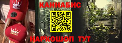 крисы Бузулук