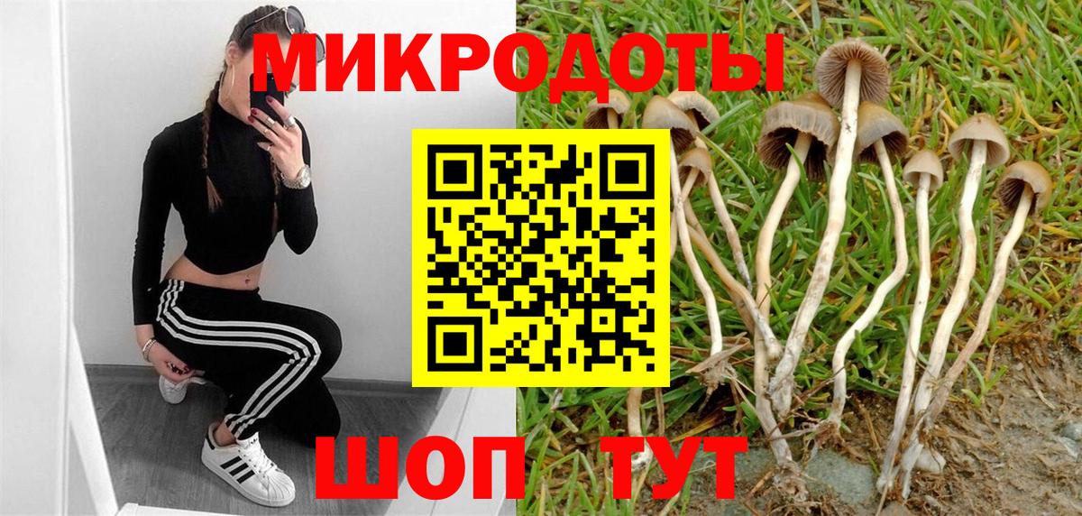 Псилоцибиновые грибы мухоморы  Вход с VPN  Галлюциногенные грибы прущие грибы  Северобайкальск 