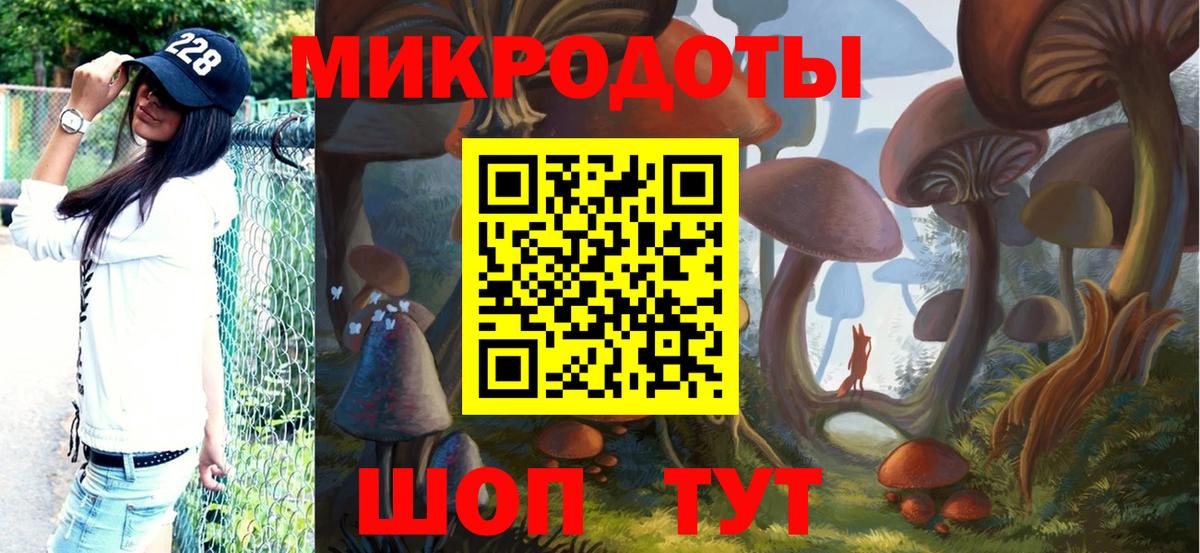 Галлюциногенные грибы GOLDEN TEACHER Северобайкальск